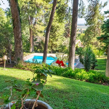 Sani Lili 6 * Sani (Chalkidiki)