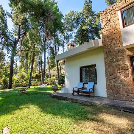 Sani Lili 6 Sani (Chalkidiki)